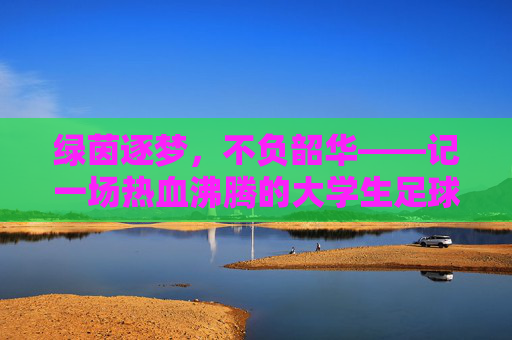 绿茵逐梦，不负韶华——记一场热血沸腾的大学生足球联赛