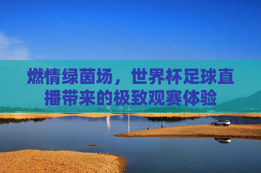 燃情绿茵场，世界杯足球直播带来的极致观赛体验