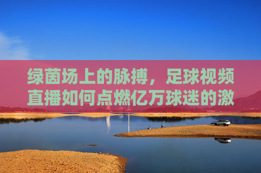绿茵场上的脉搏，足球视频直播如何点燃亿万球迷的激情