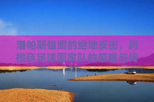 潘帕斯雄鹰的绝地反击，阿根廷足球国家队的荣耀与传奇