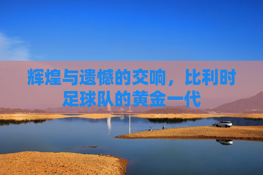 辉煌与遗憾的交响，比利时足球队的黄金一代