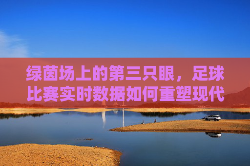 绿茵场上的第三只眼，足球比赛实时数据如何重塑现代足球