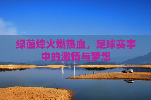 绿茵烽火燃热血，足球赛事中的激情与梦想