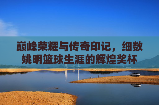 巅峰荣耀与传奇印记，细数姚明篮球生涯的辉煌奖杯