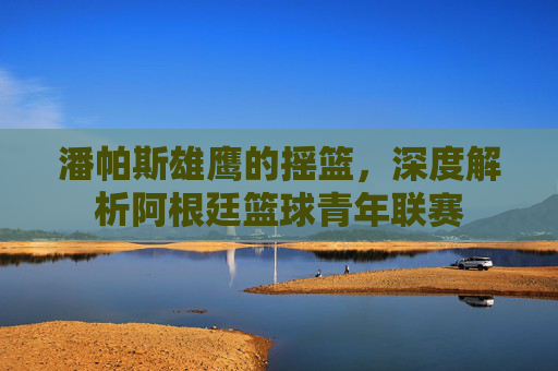 潘帕斯雄鹰的摇篮，深度解析阿根廷篮球青年联赛
