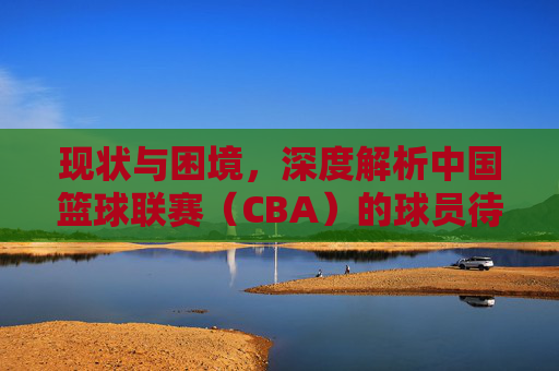 现状与困境，深度解析中国篮球联赛（CBA）的球员待遇变迁