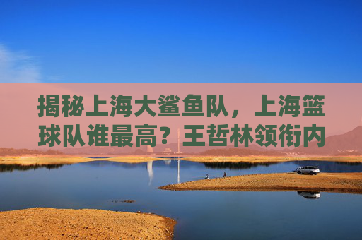 揭秘上海大鲨鱼队，上海篮球队谁最高？王哲林领衔内线高度