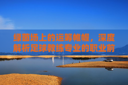 绿茵场上的运筹帷幄，深度解析足球教练专业的职业前景与核心素养