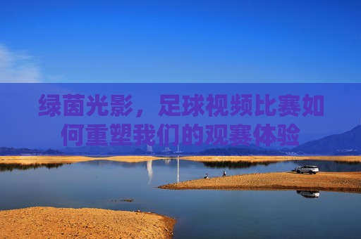 绿茵光影，足球视频比赛如何重塑我们的观赛体验