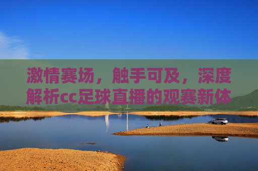 激情赛场，触手可及，深度解析cc足球直播的观赛新体验