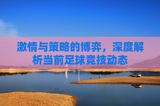 激情与策略的博弈，深度解析当前足球竞技动态