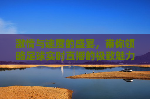 激情与速度的盛宴，带你领略足球实时直播的极致魅力