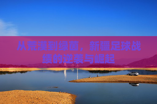 从荒漠到绿茵，新疆足球战绩的逆袭与崛起