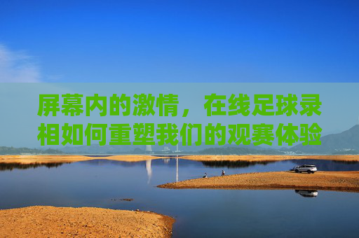 屏幕内的激情，在线足球录相如何重塑我们的观赛体验
