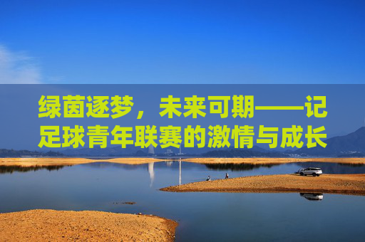 绿茵逐梦，未来可期——记足球青年联赛的激情与成长