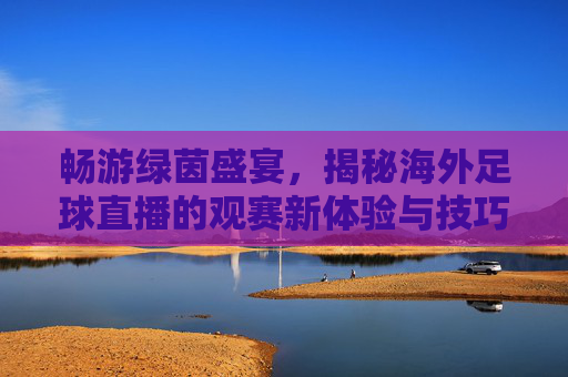 畅游绿茵盛宴，揭秘海外足球直播的观赛新体验与技巧