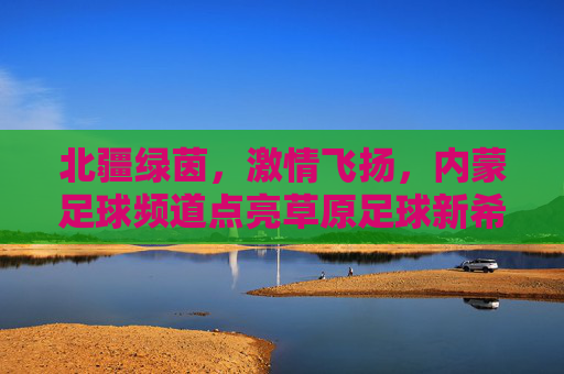 北疆绿茵，激情飞扬，内蒙足球频道点亮草原足球新希望