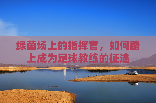 绿茵场上的指挥官，如何踏上成为足球教练的征途