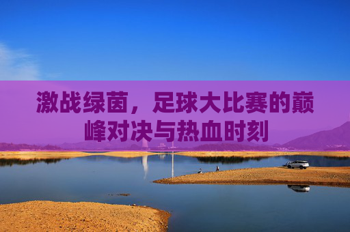 激战绿茵，足球大比赛的巅峰对决与热血时刻