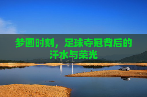 梦圆时刻，足球夺冠背后的汗水与荣光