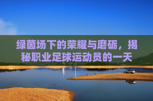 绿茵场下的荣耀与磨砺，揭秘职业足球运动员的一天