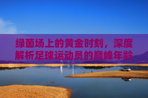 绿茵场上的黄金时刻，深度解析足球运动员的巅峰年龄