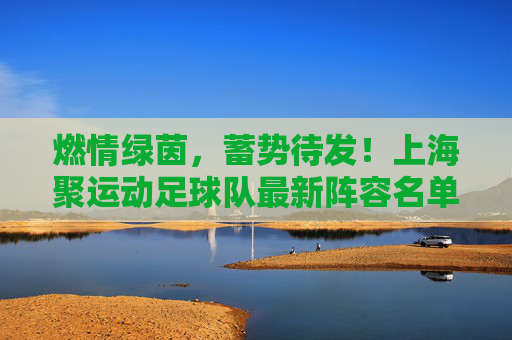 燃情绿茵，蓄势待发！上海聚运动足球队最新阵容名单重磅发布