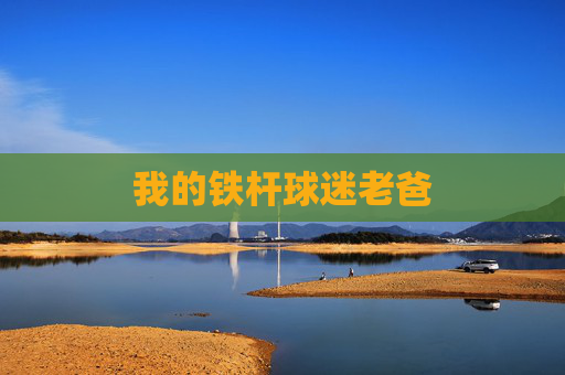 我的铁杆球迷老爸