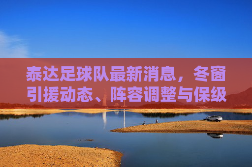 泰达足球队最新消息，冬窗引援动态、阵容调整与保级之路展望