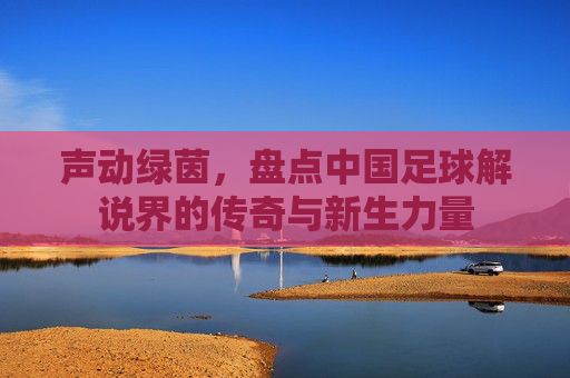 声动绿茵，盘点中国足球解说界的传奇与新生力量