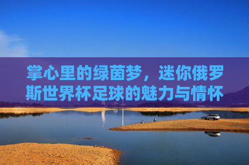 掌心里的绿茵梦，迷你俄罗斯世界杯足球的魅力与情怀