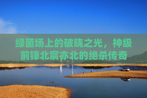 绿茵场上的破晓之光，神级前锋北宸亦北的绝杀传奇