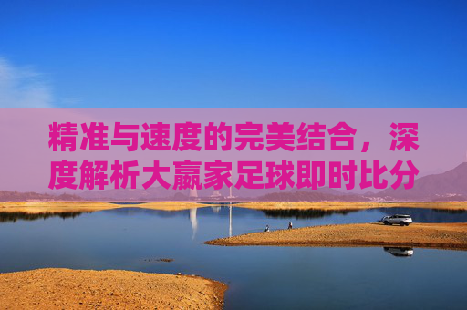 精准与速度的完美结合，深度解析大嬴家足球即时比分网