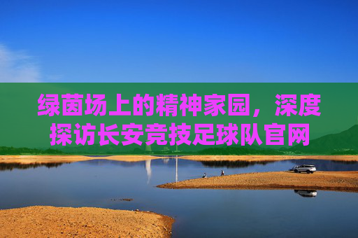 绿茵场上的精神家园，深度探访长安竞技足球队官网