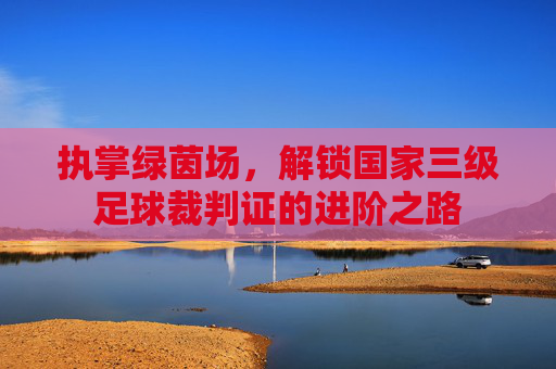 执掌绿茵场，解锁国家三级足球裁判证的进阶之路