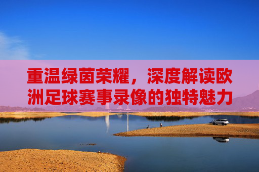 重温绿茵荣耀，深度解读欧洲足球赛事录像的独特魅力与价值