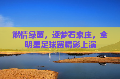 燃情绿茵，逐梦石家庄，全明星足球赛精彩上演