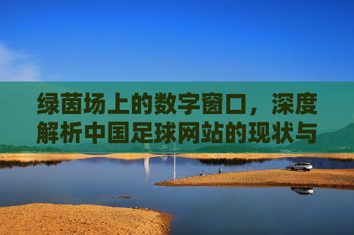 绿茵场上的数字窗口，深度解析中国足球网站的现状与未来