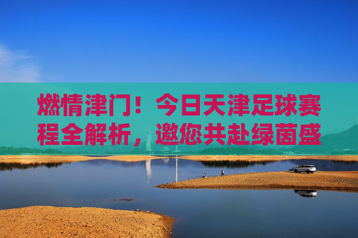 燃情津门！今日天津足球赛程全解析，邀您共赴绿茵盛宴