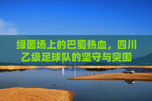 绿茵场上的巴蜀热血，四川乙级足球队的坚守与突围