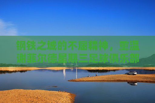 钢铁之城的不屈精神，重温谢菲尔德星期三足球俱乐部的辉煌与坚守