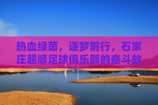 热血绿茵，逐梦前行，石家庄超顺足球俱乐部的奋斗故事