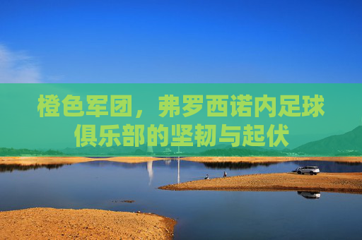 橙色军团，弗罗西诺内足球俱乐部的坚韧与起伏