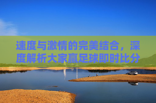 速度与激情的完美结合，深度解析大家赢足球即时比分