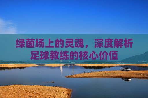 绿茵场上的灵魂，深度解析足球教练的核心价值