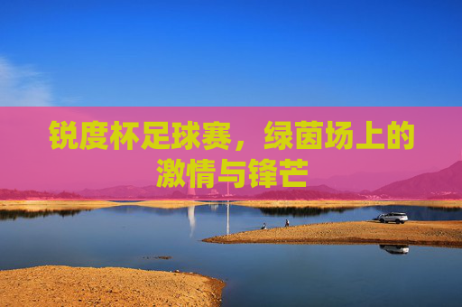 锐度杯足球赛，绿茵场上的激情与锋芒