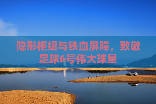 隐形枢纽与铁血屏障，致敬足球6号伟大球星