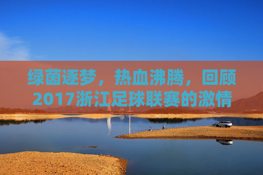 绿茵逐梦，热血沸腾，回顾2017浙江足球联赛的激情岁月
