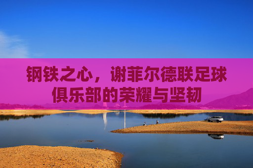 钢铁之心，谢菲尔德联足球俱乐部的荣耀与坚韧