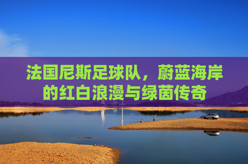 法国尼斯足球队，蔚蓝海岸的红白浪漫与绿茵传奇
